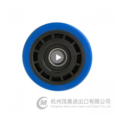 Step Roller for Schindler 9700 Escalators 100*25*6204